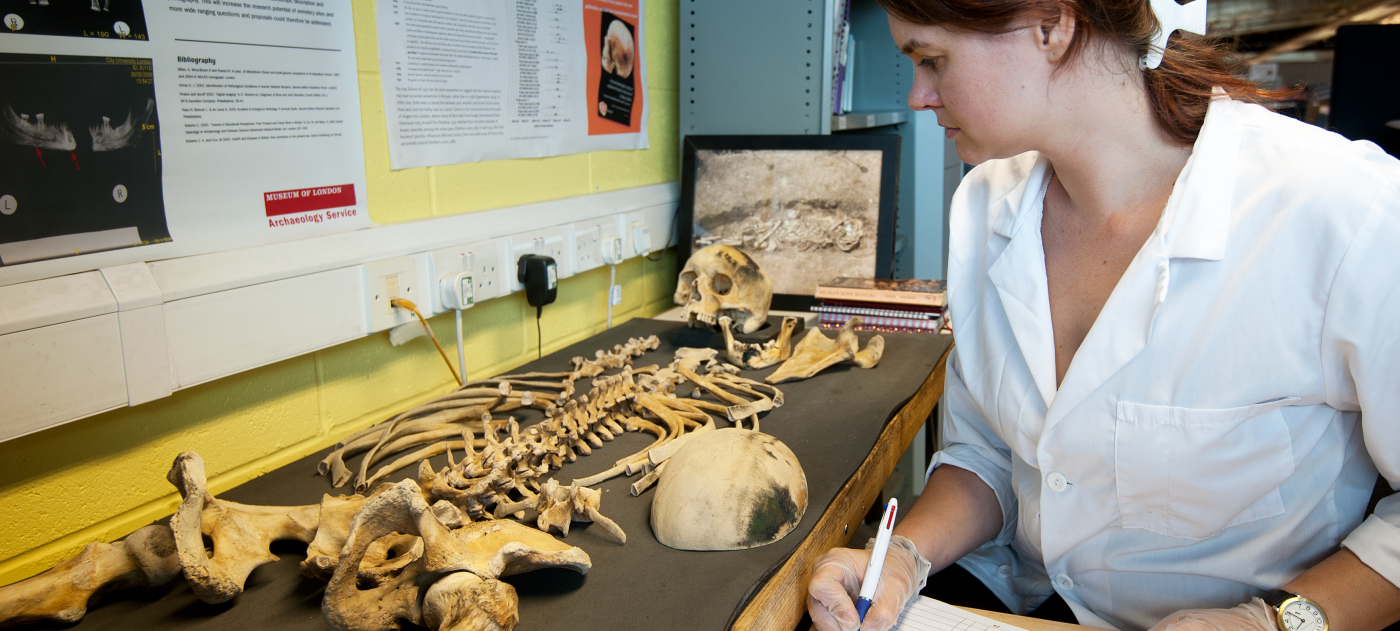 Osteologist from MOLA Headland studies a skeleton excavated.