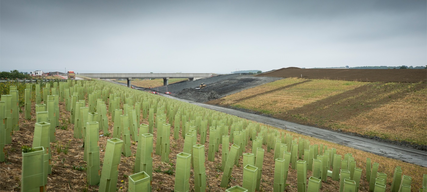 Tree planting underway at Waddesdon cutting, with the A41 overbridge visible in the background.
