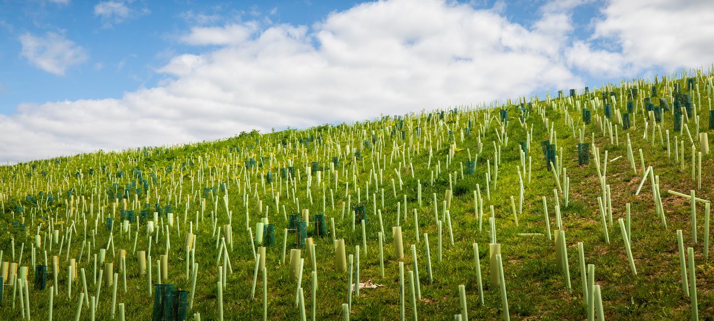 West London habitat creation in in the Borough of Hillingdon.